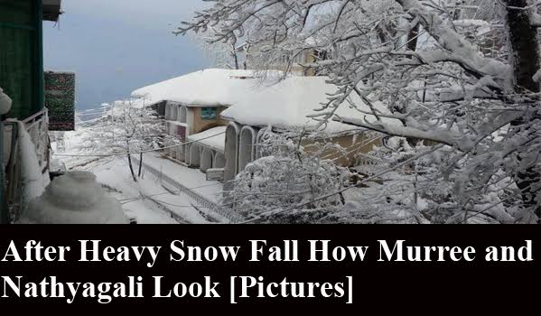 After Heavy Snowfall how Murree and Nathyagali Look [Pictures]