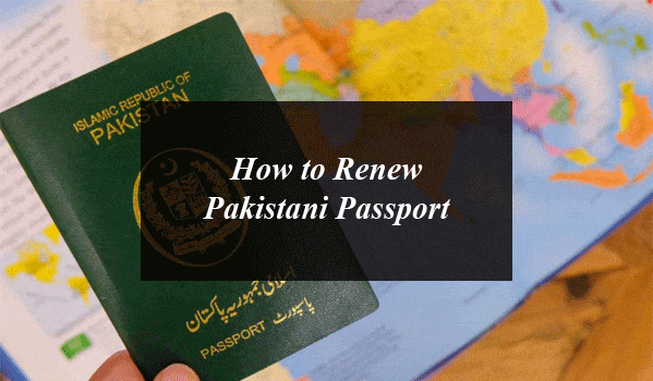 How to Renew Pakistani Passport with E-Service Portal? Step By Step Guide