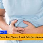 how to clean your stomach and Intestines naturally with home remedies.