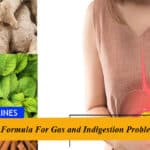 Herbal Formula For Gas and Indigestion Problems