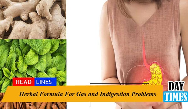 Herbal Formula For Gas and Indigestion Problems