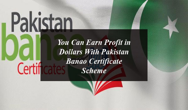 You Can Earn Profit in Dollars With Pakistan Banao Certificate Scheme: Here’s How to Apply?