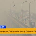 Necessary Precautions and Foods to Combat Smog Air Pollution in Pakistan