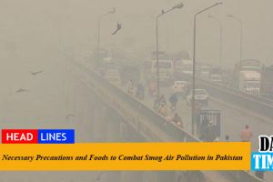 Necessary Precautions and Foods to Combat Smog Air Pollution in Pakistan