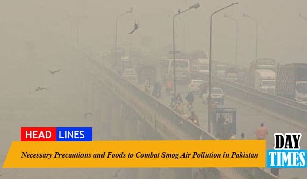 Necessary Precautions and Foods to Combat Smog Air Pollution in Pakistan