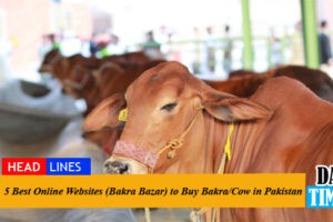 5 Best Online Websites (Bakra Bazar) to Buy Bakra/Cow in Pakistan For Eid-Ul-Azha