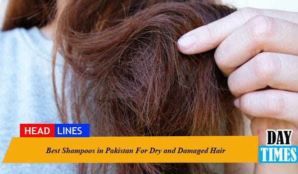 Best Shampoos in Pakistan For Dry and Damaged Hair