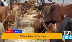 Eid-ul-Adha in Pakistan