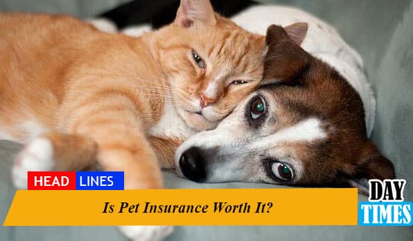 Is Pet Insurance Worth It?