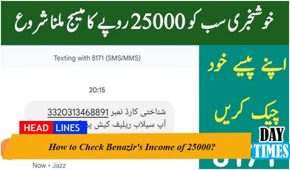 How to Check Benazir's Income of 25000