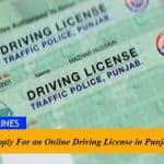 How to Apply For an Online Driving License in Punjab?