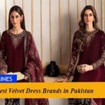 Best Velvet Dress Brands in Pakistan