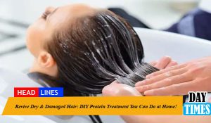 Revive Dry & Damaged Hair: DIY Protein Treatment You Can Do at Home!