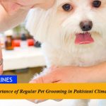The Importance of Regular Pet Grooming in Pakistani Climate
